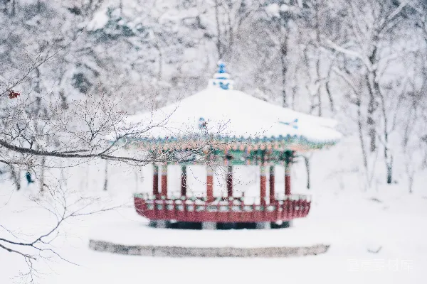 高清摄影 冬日雪景中的传统亭子