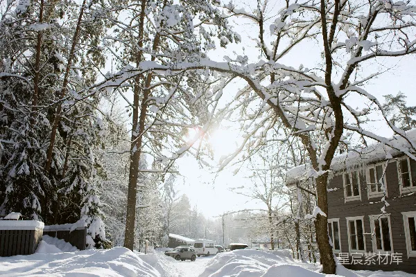 高清摄影 冬日小径上的雪景
