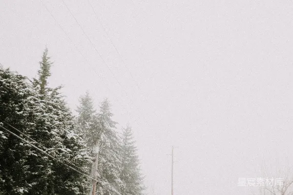 高清摄影 雪地滑行时光