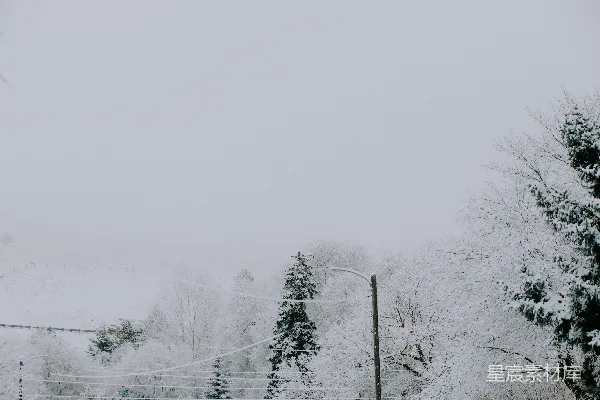 高清摄影 冬日雪景中的宁静与孤寂