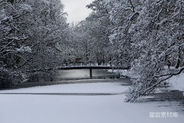 高清摄影 冬日雪景中的宁静小桥