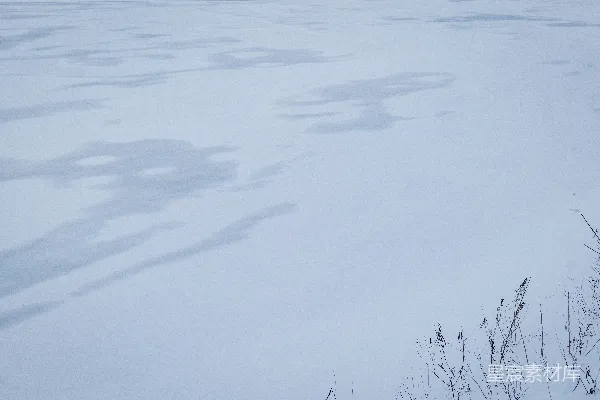 高清摄影 雪地的足迹