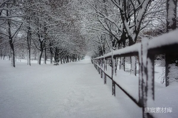 高清摄影 冬日雪景中的小径
