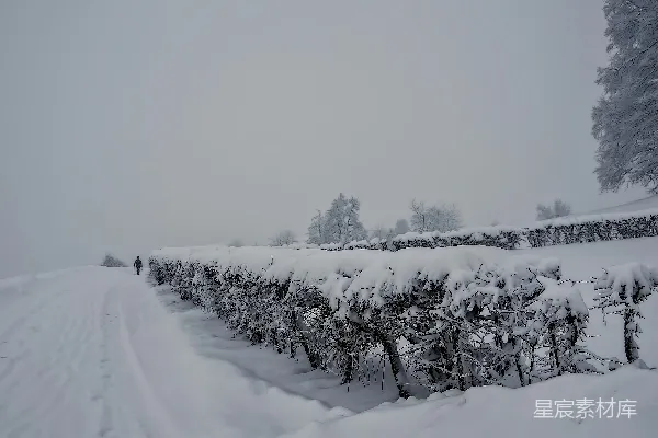 高清摄影 雪后宁静的乡村小径