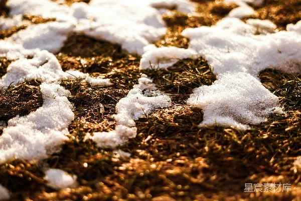 高清摄影 冬日草地上的雪