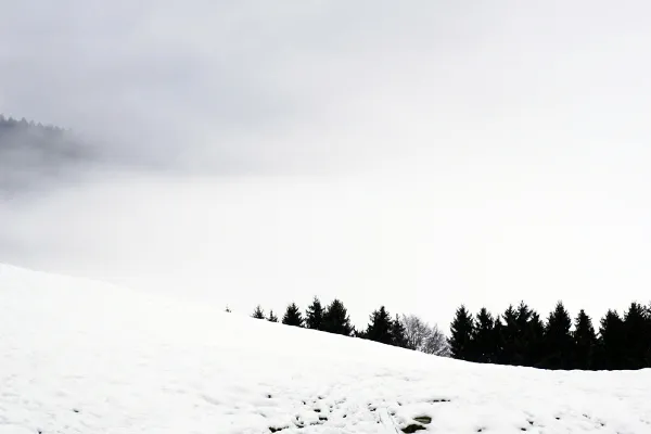 高清摄影 雪地上的足迹