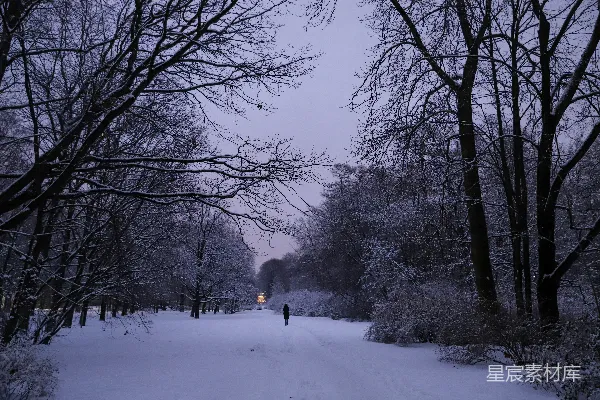 高清摄影 冬日雪景中的孤独漫步