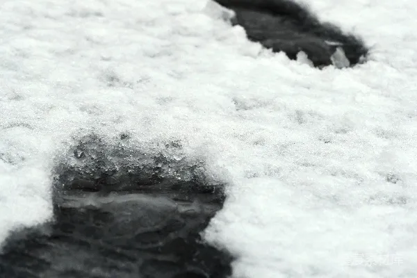 高清摄影 雪地上的足迹