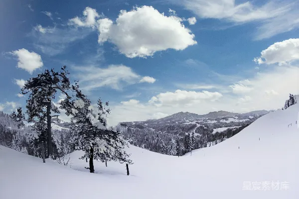 高清摄影 雪景中的冬日宁静