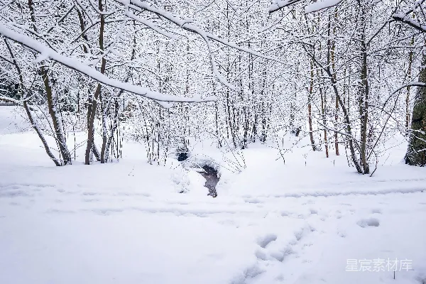 高清摄影 冬日雪景中的小溪