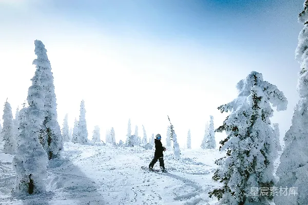 高清摄影 冬季雪地滑雪