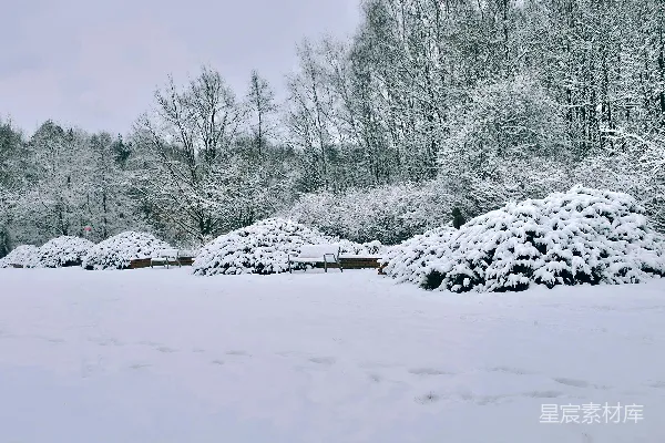 高清摄影 冬日雪景公园