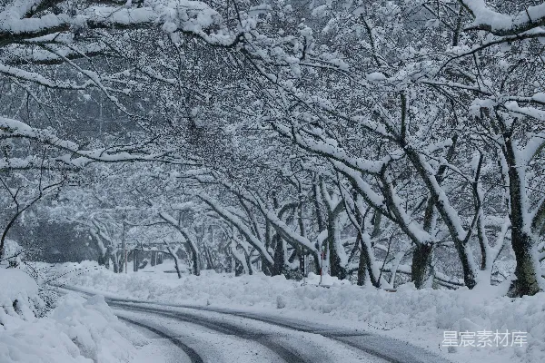 高清摄影 冬日雪景，树下小路
