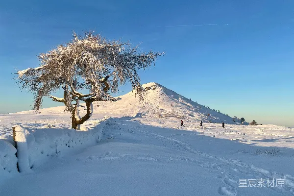 高清摄影 冬日雪景下的孤独树