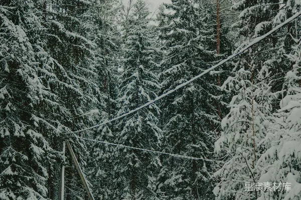 高清摄影 冬日雪林中的森林小路