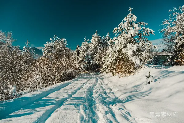 高清摄影 冬日雪景中的宁静小径