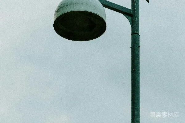 高清摄影 路灯上的鸟