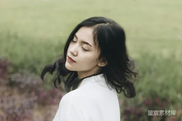 高清摄影 在田野中的静谧时光