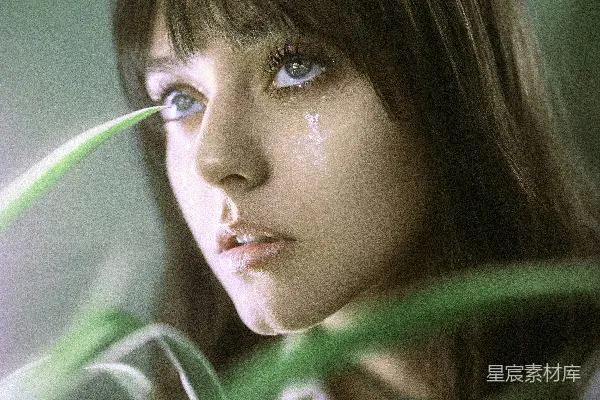 高清摄影 绿意中的泪滴
