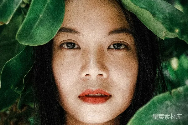 高清摄影 绿意盎然的自然之美