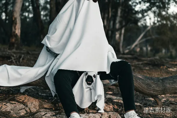 高清摄影 幽灵与小狗的森林奇遇