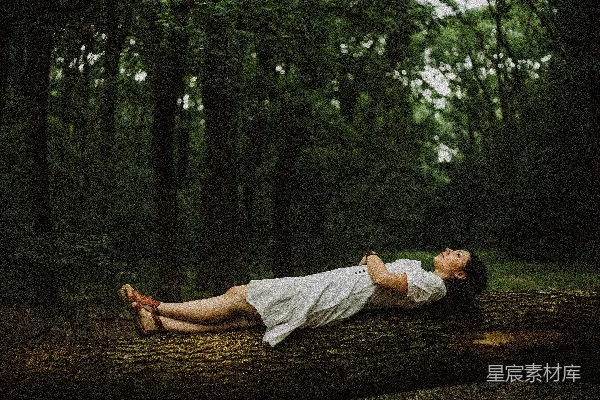 高清摄影 森林中的宁静时光
