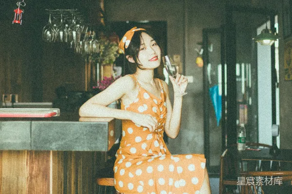 高清摄影 复古酒吧中的优雅时光