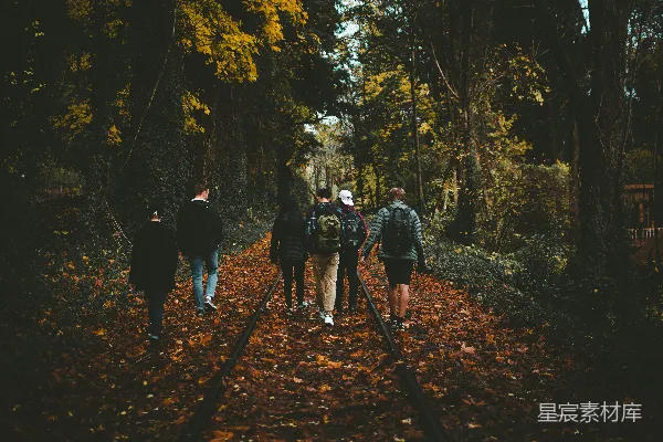 高清摄影 秋日森林中的徒步旅行