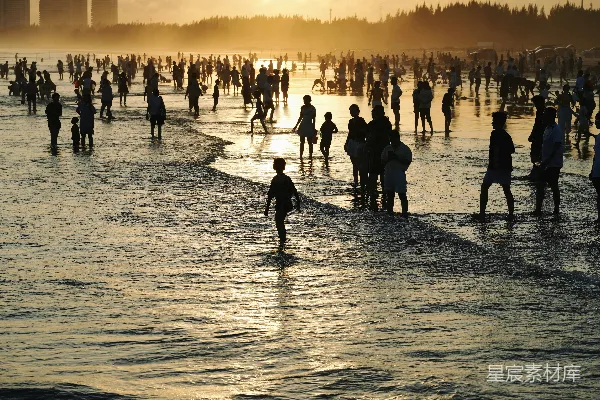 高清摄影 夕阳下的海滩聚会