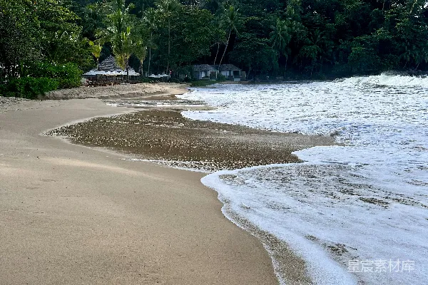 高清摄影 有树和建筑的海滩