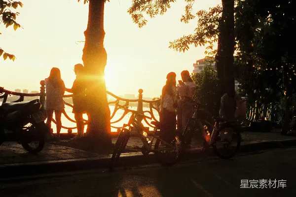 高清摄影 夕阳下的河边散步