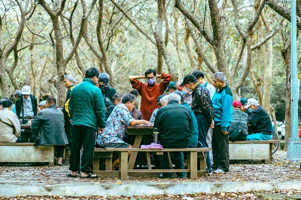 高清摄影 公园中的棋牌时光