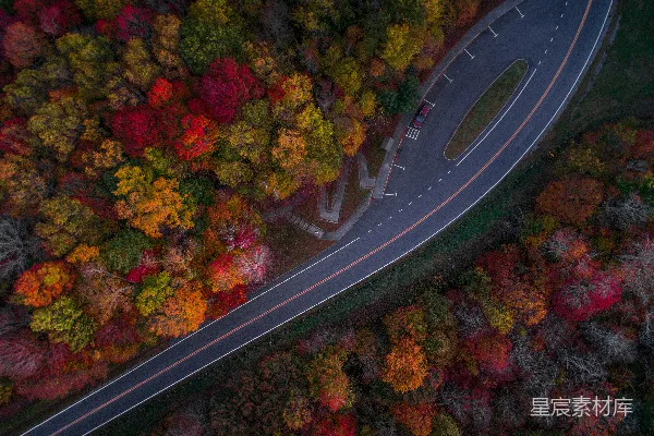高清摄影 秋日森林中的蜿蜒道路