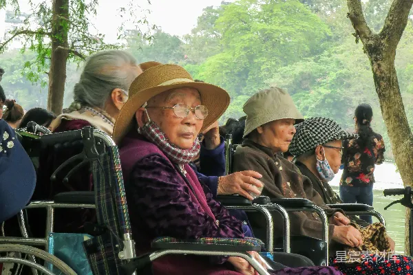 高清摄影 公园里的轮椅老人