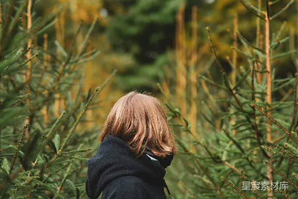 高清摄影 森林深处的独行者