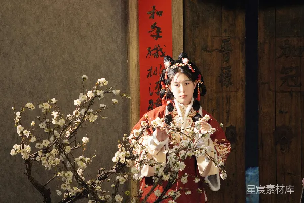 高清摄影 古风女子与梅花