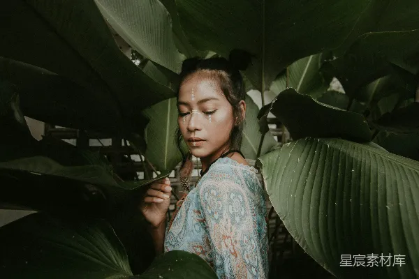 高清摄影 热带雨林中的泪滴