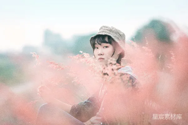 高清摄影 在花海中的宁静时光