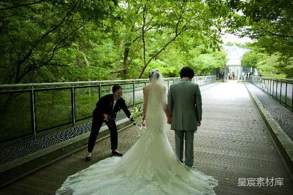 高清摄影 绿意盎然的婚礼场景