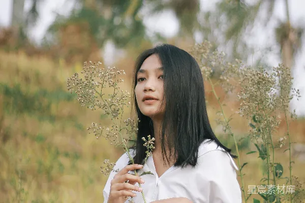 高清摄影 静谧的自然时光
