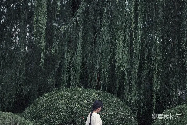 高清摄影 静谧的桥上时光