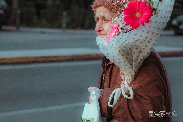 高清摄影 街头的花与回忆