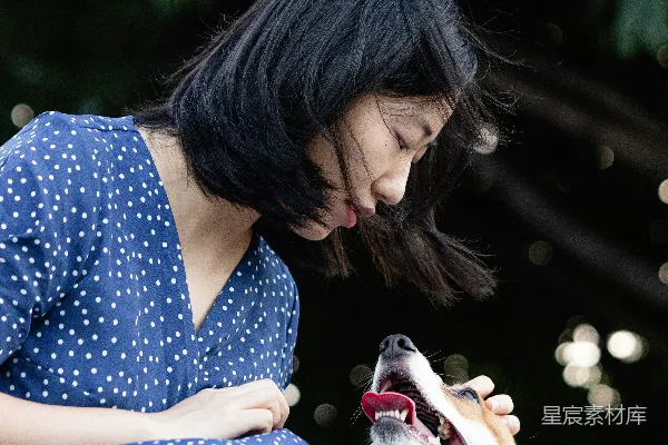 高清摄影 与狗狗的亲密时刻