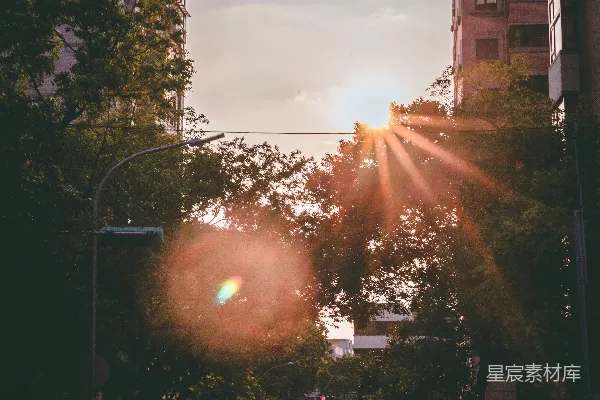 高清摄影 夕阳下的城市街道