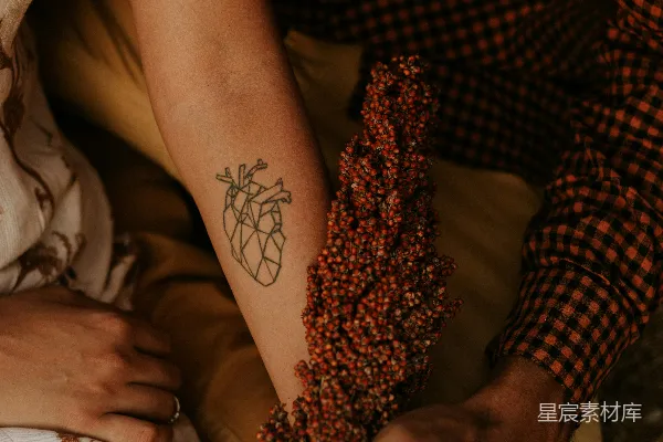 高清摄影 自然与爱的交汇