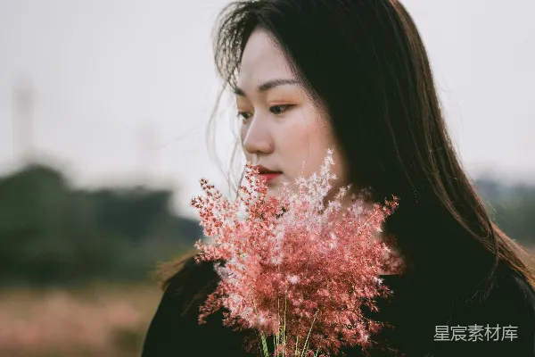 高清摄影 秋日风中的一抹粉
