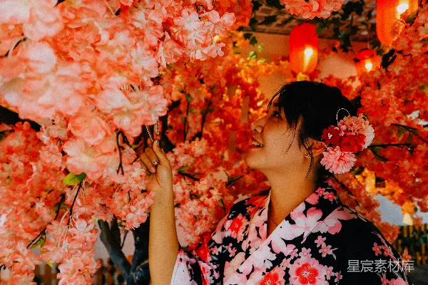 高清摄影 樱花下的和服少女
