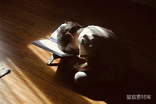 高清摄影 阳光下的沉思