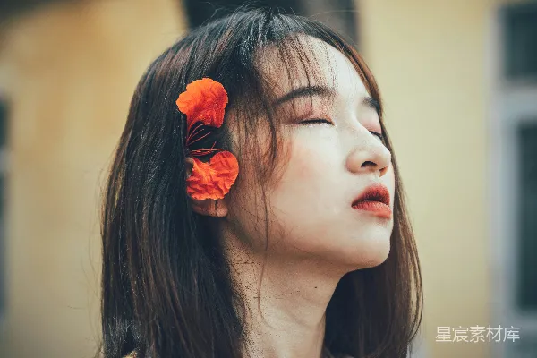 高清摄影 享受自然的宁静时光