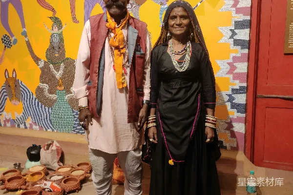 高清摄影 色彩斑斓的传统印度夫妇